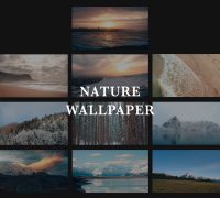 Nature wp Layout 03